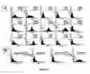 Fig. 04 - Mesenchymal stem cell-mediated function tooth regeneration