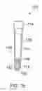 Fig. 07 - APPARATUS AND METHODS FOR CULTURING AND/OR TRANSPORTING CELLULAR STRUCTURES