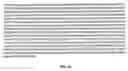 Fig. 06 - HUMAN ERYTHROVIRUS