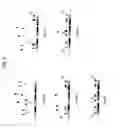 Fig. 09 - COMPOSITIONS AND METHODS FOR MULTIPLEX ANALYSIS OF POLYNUCLEOTIDES