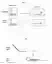 Fig. 02 - Primers for melting analysis