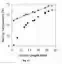 Fig. 07 - Primers for melting analysis