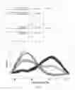 Fig. 08 - Primers for melting analysis