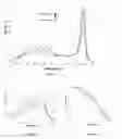 Fig. 15 - Primers for melting analysis