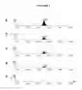Fig. 02 - Cell based screening assays for the triglyceride synthesis pathway