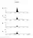 Fig. 08 - Cell based screening assays for the triglyceride synthesis pathway