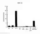 Fig. 25 - Persistently infective vector