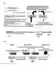 Fig. 02 - Sac-like structure enclosing hematopoietic progenitor cells produced from ES cells and method for preparing blood cells