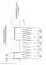 Fig. 07 - METHOD FOR IN-BAND SIGNALING OF DATA OVER DIGITAL WIRELESS TELECOMMUNICATIONS NETWORKS