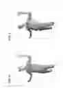 Fig. 08 - Visual target tracking
