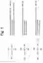 Fig. 02 - Composites Comprising a Polymer and a Selected Layered Compound and Methods of Preparing and Using Same