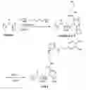 Fig. 01 - Biomimetic compounds and synthetic methods therefor