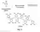 Fig. 03 - Biomimetic compounds and synthetic methods therefor