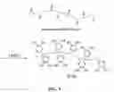 Fig. 05 - Biomimetic compounds and synthetic methods therefor