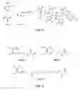 Fig. 06 - Biomimetic compounds and synthetic methods therefor