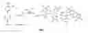 Fig. 07 - Biomimetic compounds and synthetic methods therefor