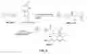 Fig. 09 - Biomimetic compounds and synthetic methods therefor