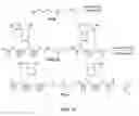 Fig. 12 - Biomimetic compounds and synthetic methods therefor