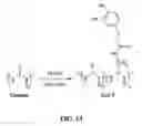 Fig. 13 - Biomimetic compounds and synthetic methods therefor