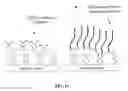 Fig. 16 - Biomimetic compounds and synthetic methods therefor