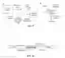 Fig. 17 - Biomimetic compounds and synthetic methods therefor