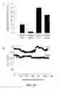 Fig. 19 - Biomimetic compounds and synthetic methods therefor