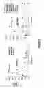 Fig. 08 - Ligands for copper-catalyzed azide-alkyne cycloaddition reactions