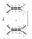 Fig. 03 - Binding molecules