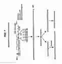 Fig. 08 - Binding molecules