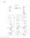 Fig. 03 - Single-stranded and double-stranded oligonucleotides comprising a 2-arylpropyl moiety