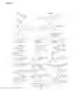 Fig. 04 - Single-stranded and double-stranded oligonucleotides comprising a 2-arylpropyl moiety