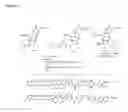 Fig. 08 - Single-stranded and double-stranded oligonucleotides comprising a 2-arylpropyl moiety