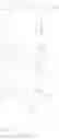 Fig. 136 - Single-stranded and double-stranded oligonucleotides comprising a 2-arylpropyl moiety
