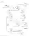 Fig. 14 - Single-stranded and double-stranded oligonucleotides comprising a 2-arylpropyl moiety