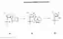 Fig. 01 - Deprotection and purification of oligonucleotides and their derivatives