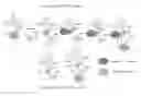 Fig. 01 - Nucleic acid synthesizing dimer amidite and nucleic acid synthesizing method