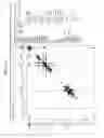 Fig. 90 - Nucleic acid synthesizing dimer amidite and nucleic acid synthesizing method