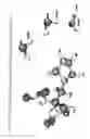 Fig. 08 - Crystalline form of the zoledronic acid, a process to obtain it and the pharmaceutical composition comprising it