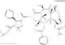 Fig. 45 - DOCETAXEL PROCESS AND POLYMORPHS