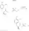 Fig. 07 - Levodopa prodrugs, and compositions and uses thereof