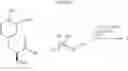 Fig. 08 - Levodopa prodrugs, and compositions and uses thereof
