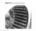 Fig. 08 - Sequentially programmed magnetic field therapeutic system (SPMF)