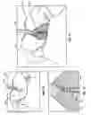 Fig. 08 - System and method of providing real-time dynamic imagery of a medical procedure site using multiple modalities