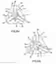 Fig. 09 - Coupling of Powerhead Ram and Power Injector Syringe