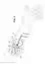 Fig. 05 - Window dressing having integral anchor