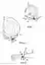 Fig. 02 - PERSONAL TEMPERATURE REGULATOR