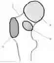 Fig. 01 - Method for determining an arrangement of measurement points on an anatomical structure