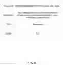 Fig. 07 - Method, System, and Apparatus for Categorizing and Presenting Risk Based Analytical Results