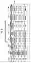 Fig. 07 - File server and file management method