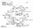 Fig. 12 - Independent link and bank selection